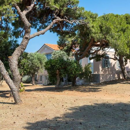 Dellagracia Mansion In Poseidonia Syros Villa Posidhonía Exteriör bild