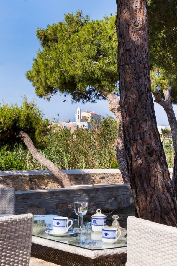 Dellagracia Mansion In Poseidonia Syros Villa Posidhonía Exteriör bild